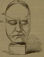 An illustration from New illustrated self-instructor in phrenology and physiology : with over one hundred engravings, together with the chart and character of ... as marked by ... / by O.S. and L.N. Fowler. (1852)