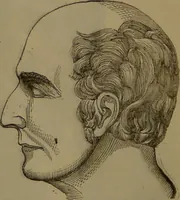 Picture 15 of 63 from New illustrated self-instructor in phrenology and physiology : with over one hundred engravings, together with the chart and character of ... as marked by ... / by O.S. and L.N. Fowler. (1852), leaf 54