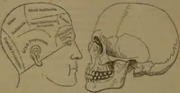 Picture 16 of 63 from New illustrated self-instructor in phrenology and physiology : with over one hundred engravings, together with the chart and character of ... as marked by ... / by O.S. and L.N. Fowler. (1852), leaf 66