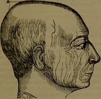 Picture 25 of 63 from New illustrated self-instructor in phrenology and physiology : with over one hundred engravings, together with the chart and character of ... as marked by ... / by O.S. and L.N. Fowler. (1852), leaf 73
