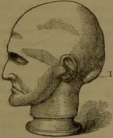 Picture 26 of 63 from New illustrated self-instructor in phrenology and physiology : with over one hundred engravings, together with the chart and character of ... as marked by ... / by O.S. and L.N. Fowler. (1852), leaf 79