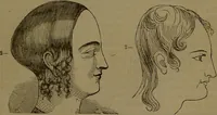 Picture 28 of 63 from New illustrated self-instructor in phrenology and physiology : with over one hundred engravings, together with the chart and character of ... as marked by ... / by O.S. and L.N. Fowler. (1852), leaf 85