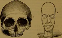Picture 37 of 63 from New illustrated self-instructor in phrenology and physiology : with over one hundred engravings, together with the chart and character of ... as marked by ... / by O.S. and L.N. Fowler. (1864), leaf 104