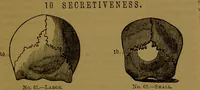 Picture 38 of 63 from New illustrated self-instructor in phrenology and physiology : with over one hundred engravings, together with the chart and character of ... as marked by ... / by O.S. and L.N. Fowler. (1864), leaf 107