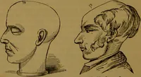 An illustration from New illustrated self-instructor in phrenology and physiology : with over one hundred engravings, together with the chart and character of ... as marked by ... / by O.S. and L.N. Fowler. (1864)