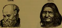 An illustration from New illustrated self-instructor in phrenology and physiology : with over one hundred engravings, together with the chart and character of ... as marked by ... / by O.S. and L.N. Fowler. (1864)