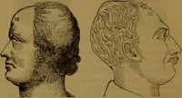 An illustration from New illustrated self-instructor in phrenology and physiology : with over one hundred engravings, together with the chart and character of ... as marked by ... / by O.S. and L.N. Fowler. (1864)