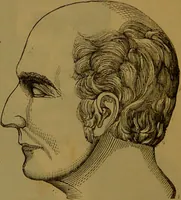 An illustration from New illustrated self-instructor in phrenology and physiology : with over one hundred engravings, together with the chart and character of ... as marked by ... / by O.S. and L.N. Fowler. (1864)