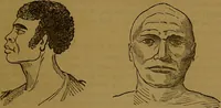 An illustration from New illustrated self-instructor in phrenology and physiology : with over one hundred engravings, together with the chart and character of ... as marked by ... / by O.S. and L.N. Fowler. (1864)