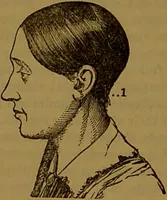 An illustration from New illustrated self-instructor in phrenology and physiology : with over one hundred engravings, together with the chart and character of ... as marked by ... / by O.S. and L.N. Fowler. (1864)