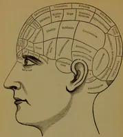 An illustration from New illustrated self-instructor in phrenology and physiology : with over one hundred engravings, together with the chart and character of ... as marked by ... / by O.S. and L.N. Fowler. (1872)