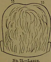 Picture 46 of 63 from New illustrated self-instructor in phrenology and physiology : with over one hundred engravings, together with the chart and character of ... as marked by ... / by O.S. and L.N. Fowler. (1872), leaf 121