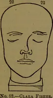 An illustration from New illustrated self-instructor in phrenology and physiology : with over one hundred engravings, together with the chart and character of ... as marked by ... / by O.S. and L.N. Fowler. (1872)