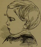 Picture 58 of 63 from New illustrated self-instructor in phrenology and physiology : with over one hundred engravings, together with the chart and character of ... as marked by ... / by O.S. and L.N. Fowler. (1872), leaf 157
