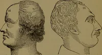 An illustration from New illustrated self-instructor in phrenology and physiology : with over one hundred engravings, together with the chart and character of ... as marked by ... / by O.S. and L.N. Fowler. (1872)