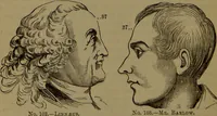 An illustration from New illustrated self-instructor in phrenology and physiology : with over one hundred engravings, together with the chart and character of ... as marked by ... / by O.S. and L.N. Fowler. (1872)