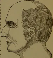 An illustration from New illustrated self-instructor in phrenology and physiology : with over one hundred engravings, together with the chart and character of ... as marked by ... / by O.S. and L.N. Fowler. (1872)