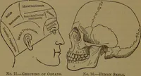 Picture 16 of 63 from New illustrated self-instructor in phrenology and physiology : with over one hundred engravings, together with the chart and character of ... as marked by ... / by O.S. and L.N. Fowler. (1872), leaf 66