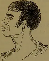 An illustration from New illustrated self-instructor in phrenology and physiology : with over one hundred engravings, together with the chart and character of ... as marked by ... / by O.S. and L.N. Fowler. (1872)