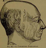 Picture 26 of 63 from New illustrated self-instructor in phrenology and physiology : with over one hundred engravings, together with the chart and character of ... as marked by ... / by O.S. and L.N. Fowler. (1872), leaf 73