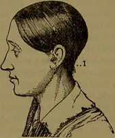 An illustration from New illustrated self-instructor in phrenology and physiology : with over one hundred engravings, together with the chart and character of ... as marked by ... / by O.S. and L.N. Fowler. (1872)