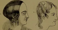 An illustration from New illustrated self-instructor in phrenology and physiology : with over one hundred engravings, together with the chart and character of ... as marked by ... / by O.S. and L.N. Fowler. (1872)