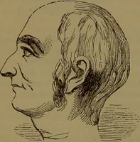 An illustration from New illustrated self-instructor in phrenology and physiology : with over one hundred engravings, together with the chart and character of ... as marked by ... / by O.S. and L.N. Fowler. (1872)