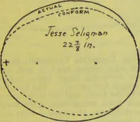 Picture 111 of 160 from How to study strangers by temperament, face and head : A sequel to "Heads and faces" / by Nelson Sizer. (1895), leaf 191
