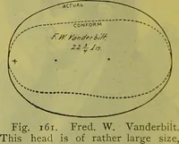 Picture 117 of 160 from How to study strangers by temperament, face and head : A sequel to "Heads and faces" / by Nelson Sizer. (1895), leaf 196