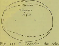 Picture 118 of 160 from How to study strangers by temperament, face and head : A sequel to "Heads and faces" / by Nelson Sizer. (1895), leaf 199
