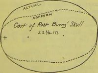 Picture 119 of 160 from How to study strangers by temperament, face and head : A sequel to "Heads and faces" / by Nelson Sizer. (1895), leaf 199