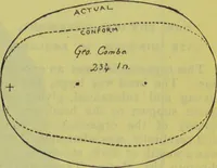 Picture 120 of 160 from How to study strangers by temperament, face and head : A sequel to "Heads and faces" / by Nelson Sizer. (1895), leaf 199