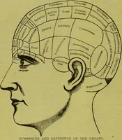 An illustration from How to study strangers by temperament, face and head : A sequel to "Heads and faces" / by Nelson Sizer. (1895)