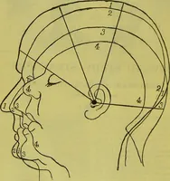 An illustration from How to study strangers by temperament, face and head : A sequel to "Heads and faces" / by Nelson Sizer. (1895)