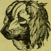 An illustration from How to study strangers by temperament, face and head : A sequel to "Heads and faces" / by Nelson Sizer. (1895)