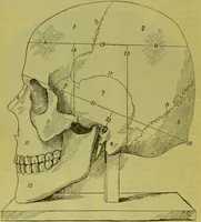 An illustration from How to study strangers by temperament, face and head : A sequel to "Heads and faces" / by Nelson Sizer. (1895)