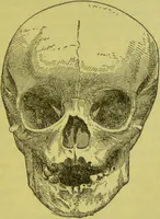 An illustration from How to study strangers by temperament, face and head : A sequel to "Heads and faces" / by Nelson Sizer. (1895)