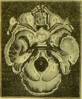 An illustration from How to study strangers by temperament, face and head : A sequel to "Heads and faces" / by Nelson Sizer. (1895)
