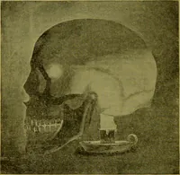 An illustration from How to study strangers by temperament, face and head : A sequel to "Heads and faces" / by Nelson Sizer. (1895)