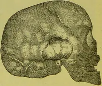 An illustration from How to study strangers by temperament, face and head : A sequel to "Heads and faces" / by Nelson Sizer. (1895)