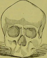 An illustration from How to study strangers by temperament, face and head : A sequel to "Heads and faces" / by Nelson Sizer. (1895)