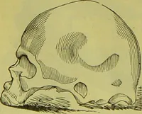 An illustration from How to study strangers by temperament, face and head : A sequel to "Heads and faces" / by Nelson Sizer. (1895)