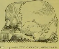 Picture 39 of 160 from How to study strangers by temperament, face and head : A sequel to "Heads and faces" / by Nelson Sizer. (1895), leaf 54