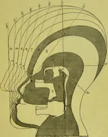 An illustration from How to study strangers by temperament, face and head : A sequel to "Heads and faces" / by Nelson Sizer. (1895)