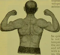 An illustration from How to study strangers by temperament, face and head : A sequel to "Heads and faces" / by Nelson Sizer. (1895)