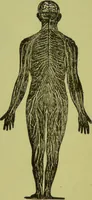 An illustration from How to study strangers by temperament, face and head : A sequel to "Heads and faces" / by Nelson Sizer. (1895)