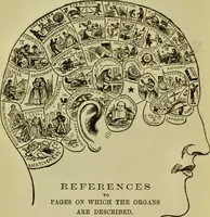 An illustration from Lectures on mental science according to the philosophy of phrenology : delivered berfore the Anthropological Society of the Western Liberal Institute of Marietta, Ohio, in the autumn of 1851 / by G.S. Weaver. (1876)