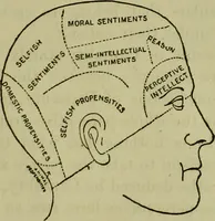 Picture 3 of 4 from Lectures on mental science according to the philosophy of phrenology : delivered berfore the Anthropological Society of the Western Liberal Institute of Marietta, Ohio, in the autumn of 1851 / by G.S. Weaver. (1876), leaf 61