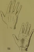 An illustration from A manual of cheirosophy : being a complete practical handbook of the twin sciences of cheirognomy and cheiromancy, by means whereof the past, the present, and the future may be read in the formations of the hands ; preceded by an introductory argument upon the science of cheirosophy and its claims to rank as a physical science / by Ed. Heron-Allen ... with full-page and other illustrations by Rosamund Brunel Horsley. (1892)