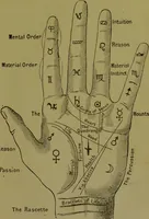 An illustration from A manual of cheirosophy : being a complete practical handbook of the twin sciences of cheirognomy and cheiromancy, by means whereof the past, the present, and the future may be read in the formations of the hands ; preceded by an introductory argument upon the science of cheirosophy and its claims to rank as a physical science / by Ed. Heron-Allen ... with full-page and other illustrations by Rosamund Brunel Horsley. (1892)